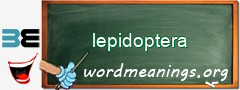 WordMeaning blackboard for lepidoptera